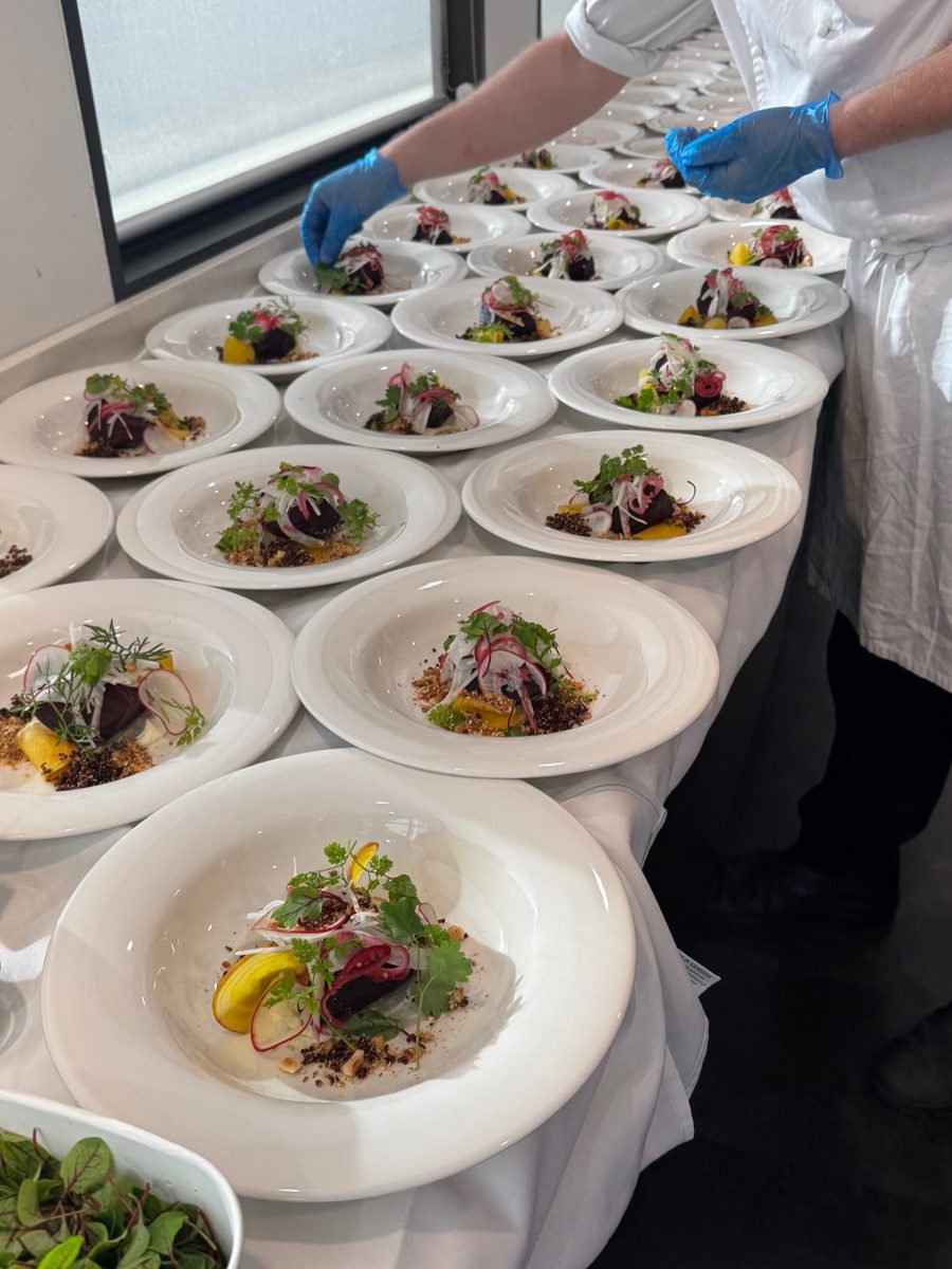 Plated entrées lined up ready for service