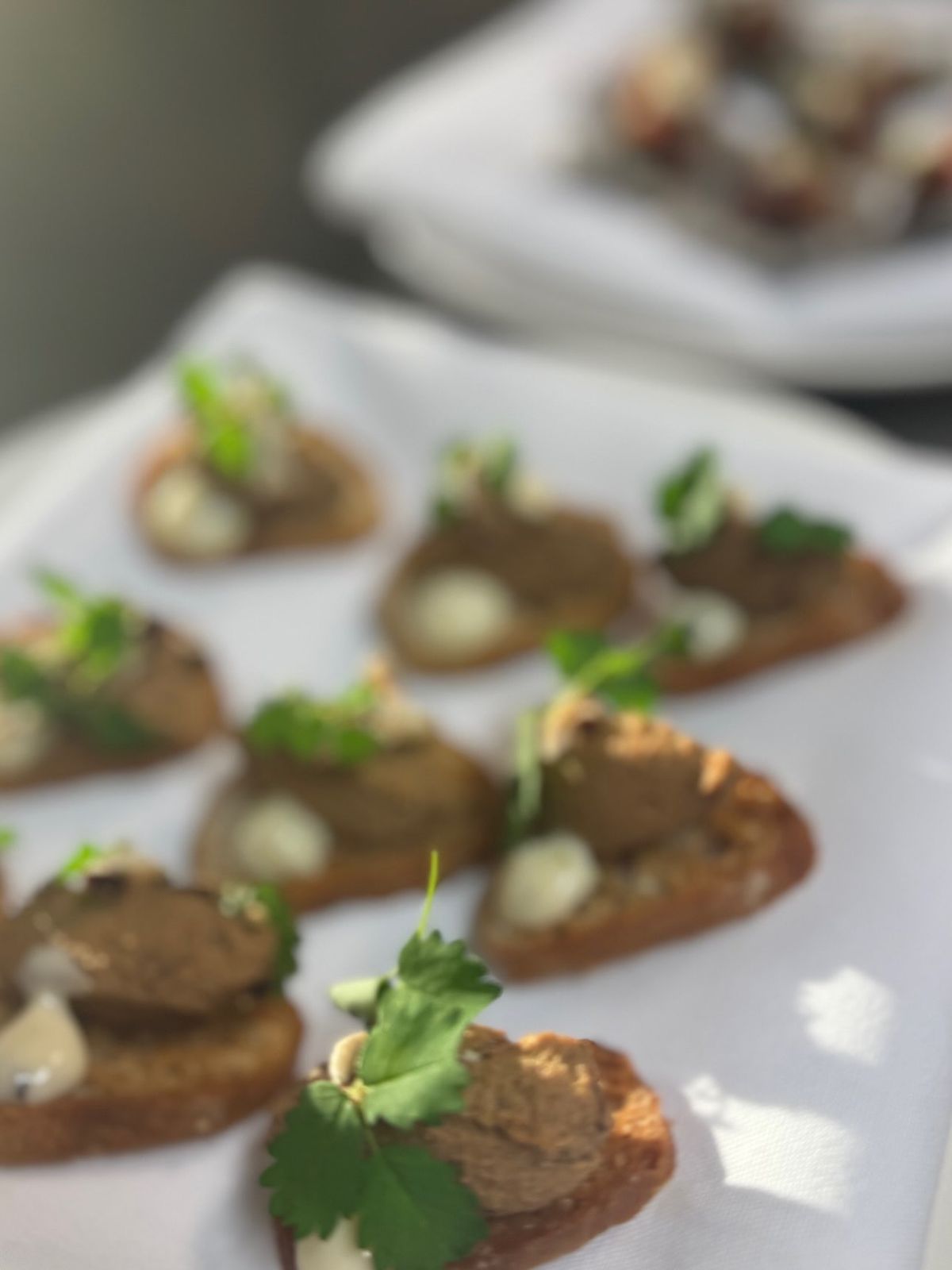 Pâté crostini canapés with fresh herbs